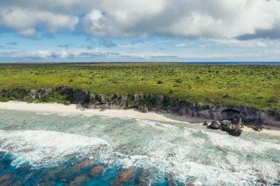 Henderson Island cleanup
